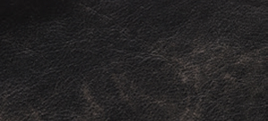 Coal