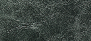 Foresta