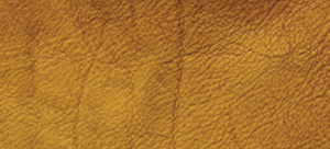 Gold-HC