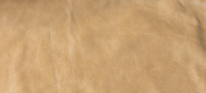Parchment